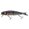 HERRING