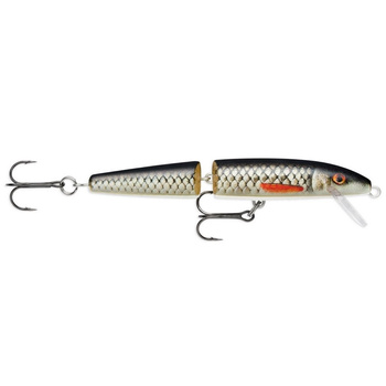 Wobler Rapala JOINTED 13cm 18g LIVE ROACH