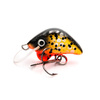 BLACK ORANGE