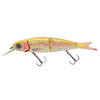 GLODEN ALBINO