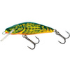 HOT BULLHEAD