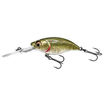 Westin BuzzBite Crankbait 5cm 6g Suspending LAKE ROACH LIMITED EDITION P145-1062-001