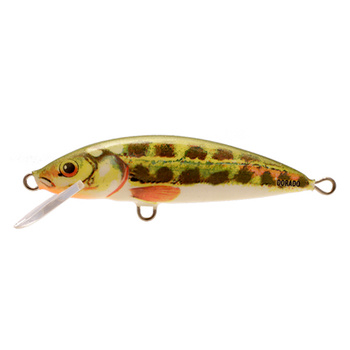 Wobler Dorado Classic 4cm 1,5g Pływający MN