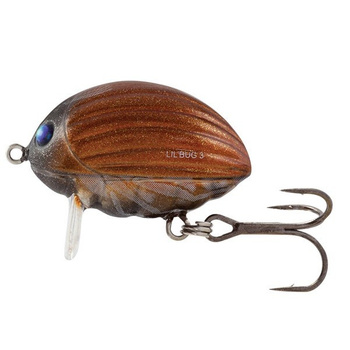 Wobler Salmo Lil' Bug pływający 2.5cm 2.8g MAY BUG QBG009