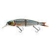 ROACH