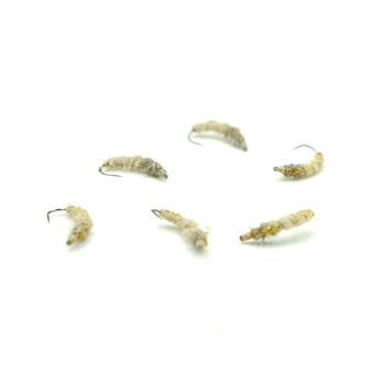 Nimfa Hydropsyche WP #10 TAN