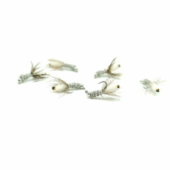 Nimfa Tungsten WP CADDIS JIG WHITE hak#14BL