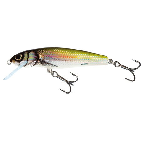 Wobler Salmo Minnow pływający 6cm 4g HOLO BLEAK QMW014