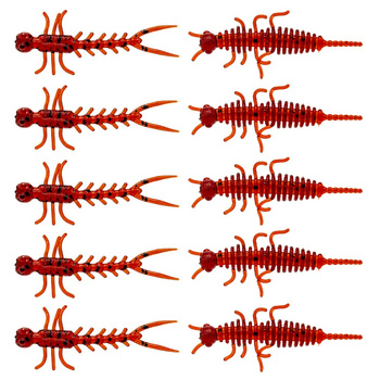 Przynęta Arent Bait w słoiczku Widelnica/Bee Kolor 34 10szt