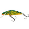 HOT BULLHEAD
