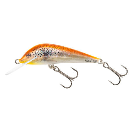 Wobler Bonito Troć  Floating 6,5cm 5,5g Kolor 31