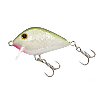 Wobler Bonito Krąpik Floating 3,5cm 3g Kolor 19