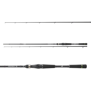 Wędka Castingowa Daiwa Prorex S BC 2.10m 14-42g 11283-210