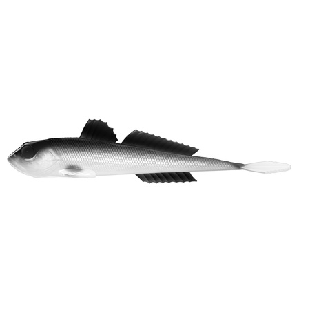 Libra Lures GOBIO 7,3'' 18,5cm 40g No Scent 001 WHITE