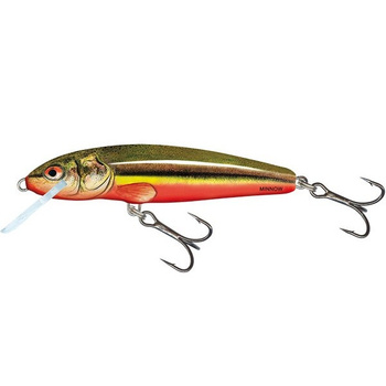 Wobler Salmo Minnow tonący 5cm 5g RAINBOW DACE QMW011