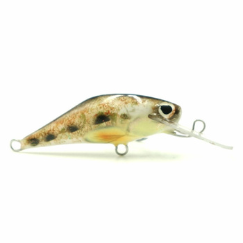 Wobler pstrągowy Głowacz DR 8cm/5g