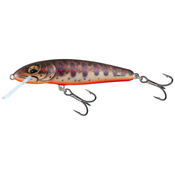 Salmo MINNOW Floating 7cm 6g FRESH WATER MINNOW QMW222