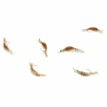 Nimfa Scud Wędkarska Polska #12 LIGHT BROWN