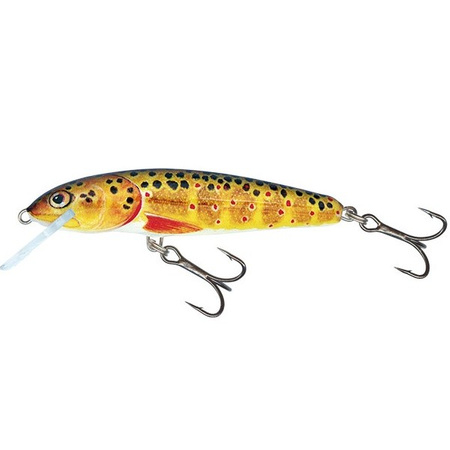 Wobler Salmo Minnow pływający 5cm 3g TROUT QMW006