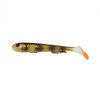 DIRTY GOBY