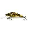 YELLOW TROUT