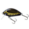 DIVING BEETLE