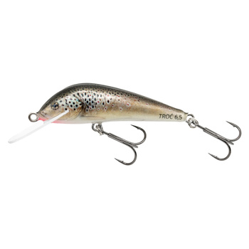 Wobler Bonito Troć  Floating 6,5cm 5,5g Kolor 40