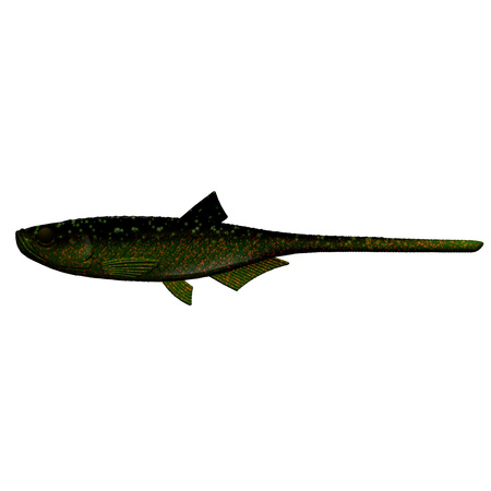 Libra Lures BLEAK SLUG TAIL 8,2'' 21cm 30g No Scent 132 MOTOR OIL GREEN