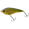 TC ROACH/PERCH