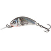 HOLOGRAPHIC GREY SHINER
