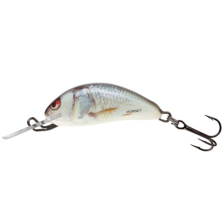 Wobler Salmo Hornet pływający 3.5cm 2.2g REAL DACE QHT016
