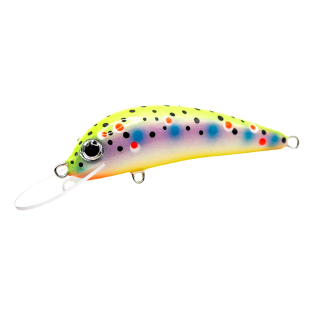 Wobler Trociowy Salmon Sambor 6,5cm 6g RAINBOW