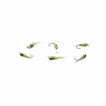 Nimfa Tungsten WP HOLO GREEN hak#16BL