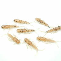 Water King Widelnica 5cm Kolor W8 8szt