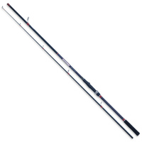 Wędka Robinson Carbonic Spin 300cm 30-60g 1CB-SP-300