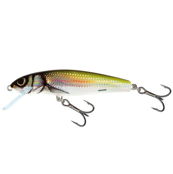 Wobler Salmo Minnow tonący 7cm 8g HOLO BLEAK QMW029
