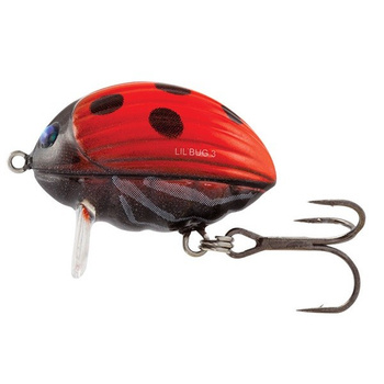 Wobler Salmo Lil' Bug pływający 2.5cm 2.8g LADYBIRD QBG008