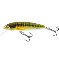 Wobler Salmo Minnow pływający 7cm 6g HOLO REAL MINNOW QMW042