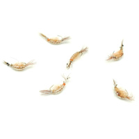 Nimfa Scud Wędkarska Polska #14BL LIGHT BROWN