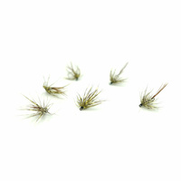 Mokra mucha WP Mayfly Olive Hackled #14BL MM00016