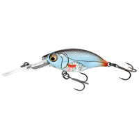 Westin BuzzBite Crankbait 6cm 10g Suspending BLEAK LIMITED EDITION P145-917-148
