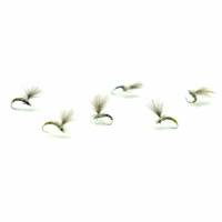 Sucha Mucha WP Pheasant tail #20 BL SM00003