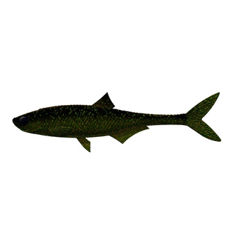 Libra Lures DEAD FISH 6,7'' 16,7cm 26,5g 132 MOTOR OIL GREEN
