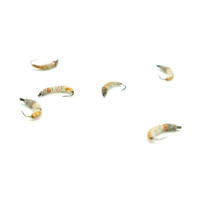 Nimfa Hydropsyche WP #12 TAN/ORANGE