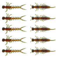 Przynęta Arent Bait w słoiczku Widelnica/Bee Kolor 19 10szt