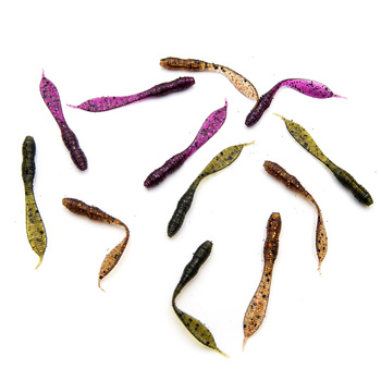 Perch Professor F**king Leech 5,5cm 0.5g 12szt MIX 