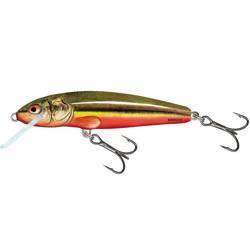 Wobler Salmo Minnow pływający 5cm 3g RAINBOW DACE QMW005