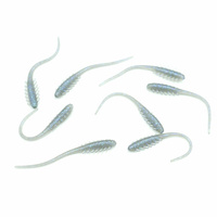 Water King Robak TR 6,5cm kolor RTR19 8szt