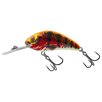 Wobler Salmo Rattlin Hornet pływający 5,5cm 10,5g HOLO RED PERCH QRH517