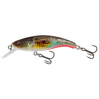 Salmo Slick Stick Floating 6cm 4,5g SUPERNATURAL GOBIE QSU035